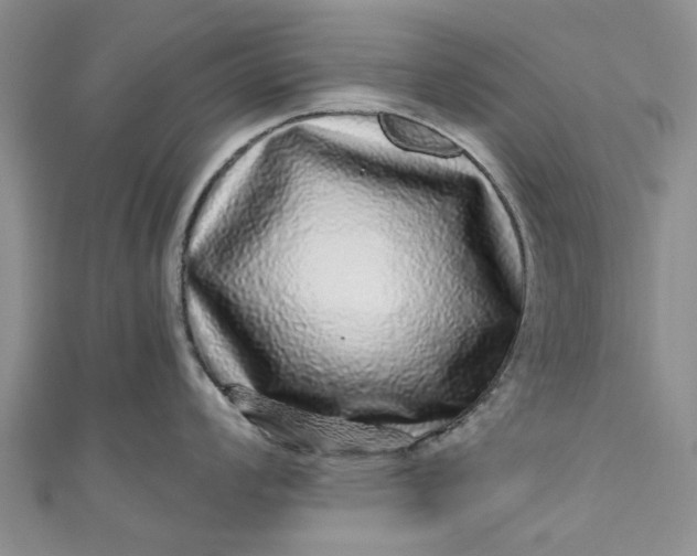 X0000110871008200907021432