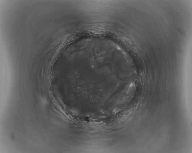 X0000110871009200907021432