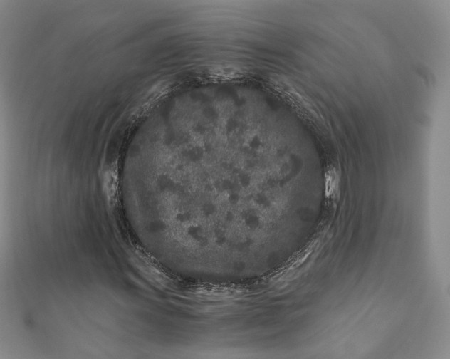 X0000110871011200907021432