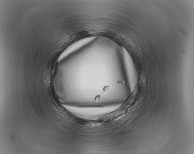 X0000110871012200907021432