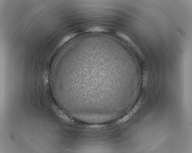 X0000110871017200907021432