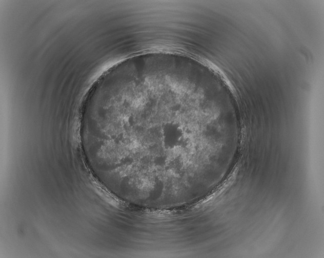 X0000110871019200907021432