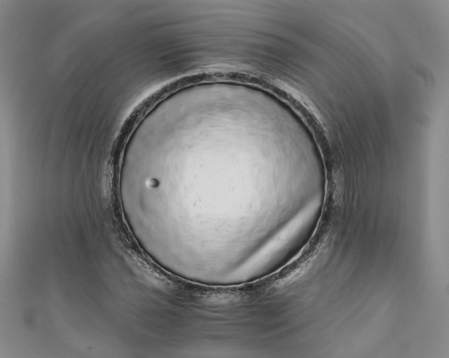 X0000110871021200907021432