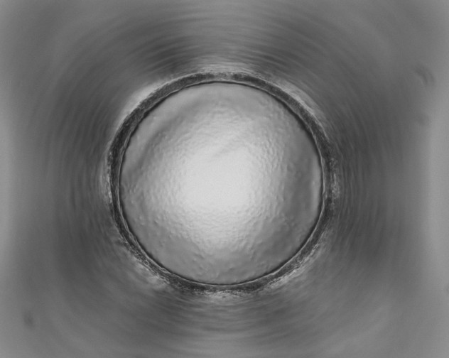 X0000110871022200907021432