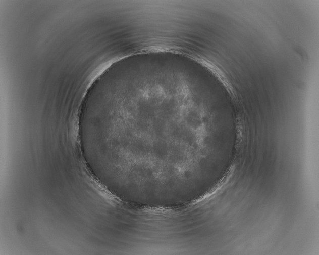 X0000110871023200907021432