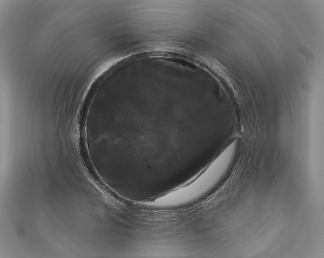 X0000110871024200907021432