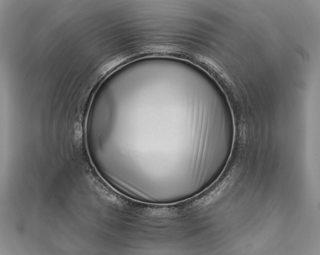 X0000110871025200907021432