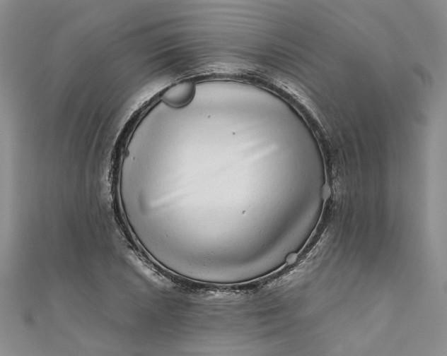 X0000110871026200907021432