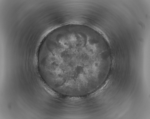 X0000110871027200907021432