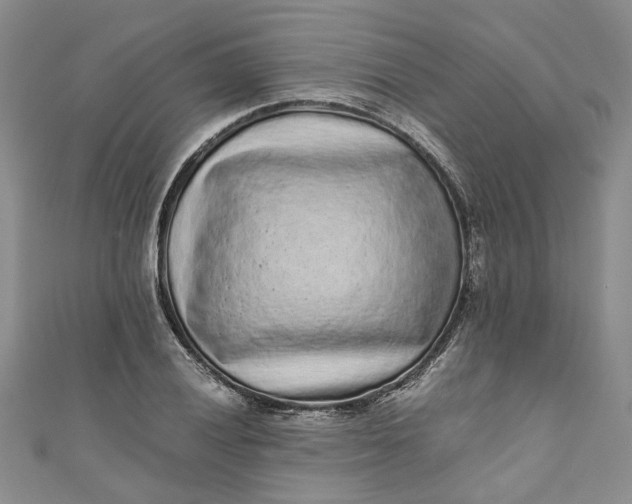 X0000110871028200907021432