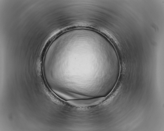 X0000110871029200907021432