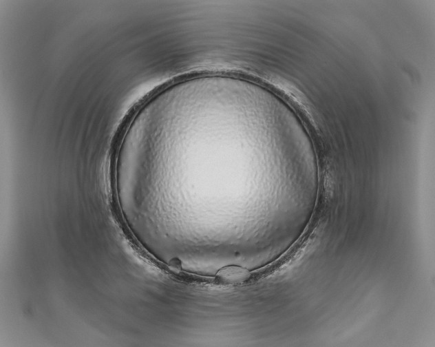 X0000110871030200907021432