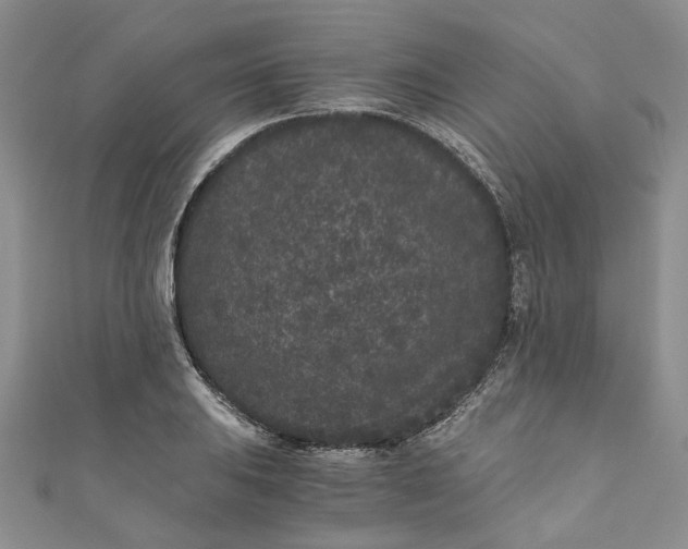 X0000110871031200907021432