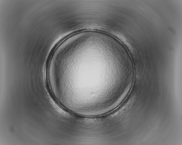 X0000110871032200907021432