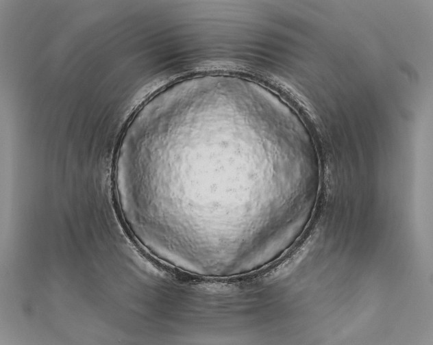 X0000110871033200907021432