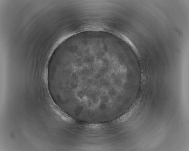 X0000110871035200907021432