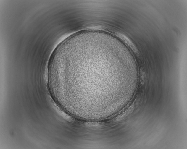 X0000110871036200907021432