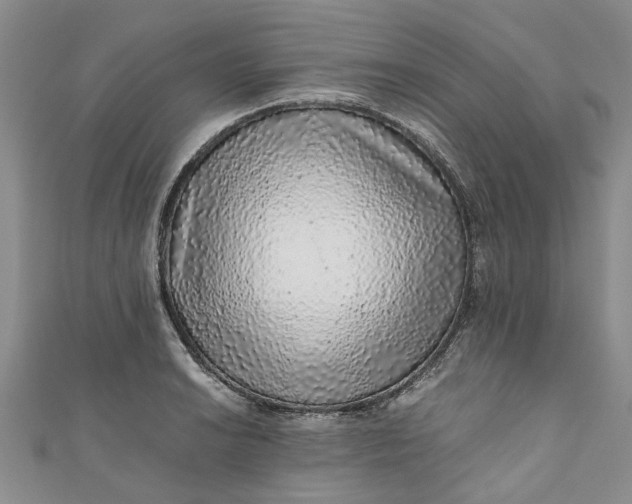 X0000110871038200907021432