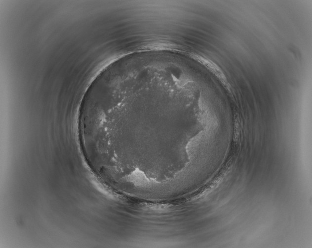 X0000110871039200907021432