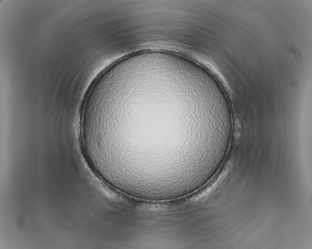 X0000110871040200907021432