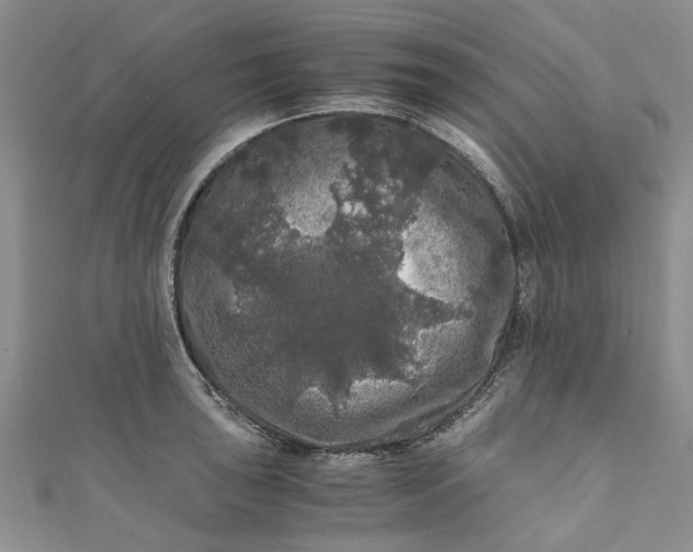 X0000110871043200907021432