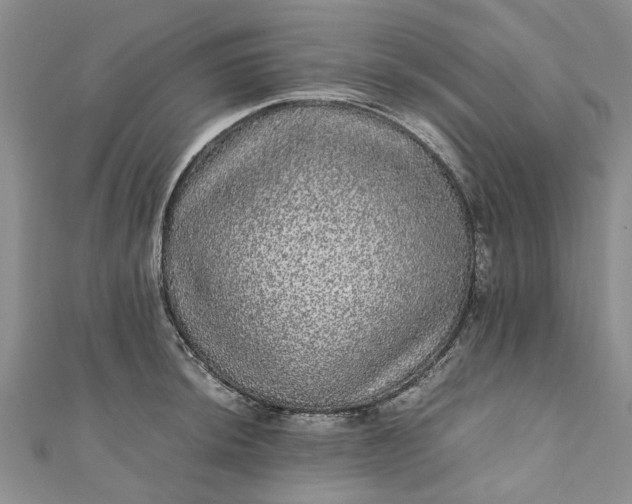 X0000110871044200907021432