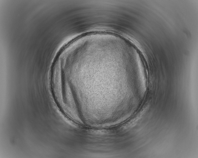 X0000110871045200907021432