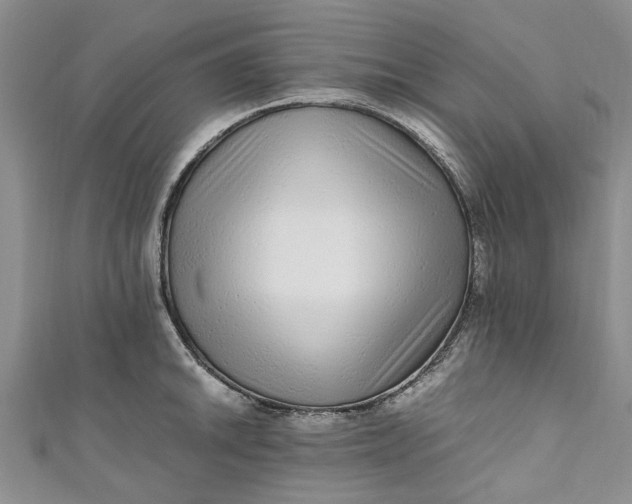 X0000110871046200907021432