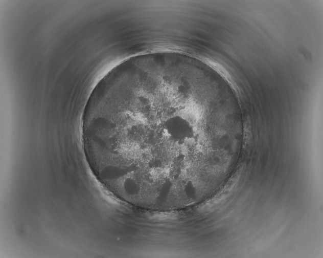 X0000110871047200907021432