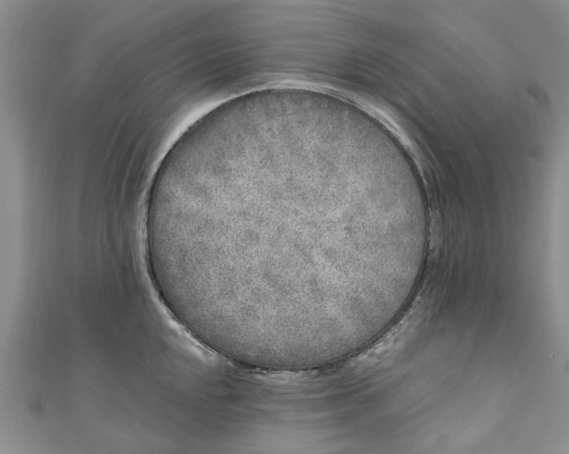 X0000110871048200907021432