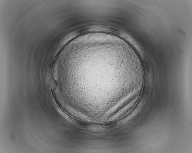 X0000110871049200907021432