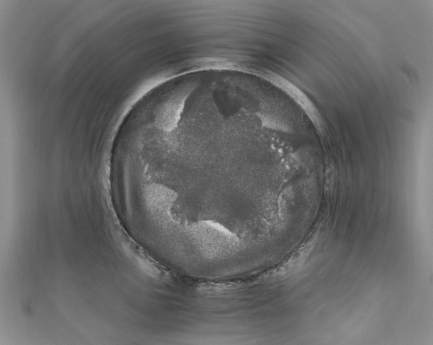 X0000110871051200907021432