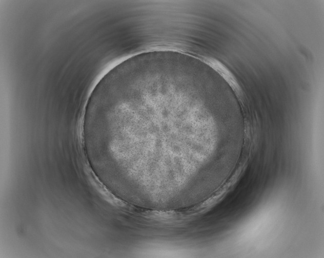 X0000110871052200907021432