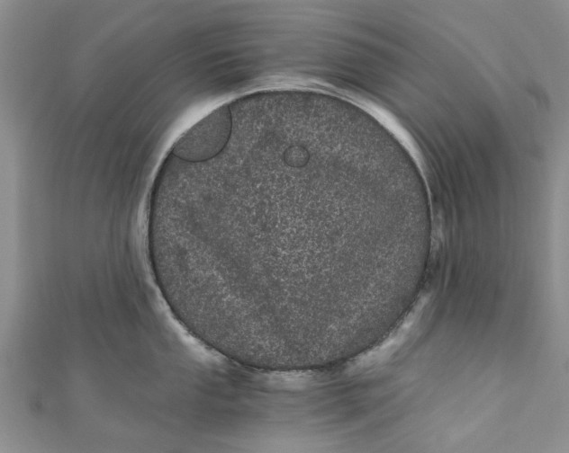 X0000110871053200907021432