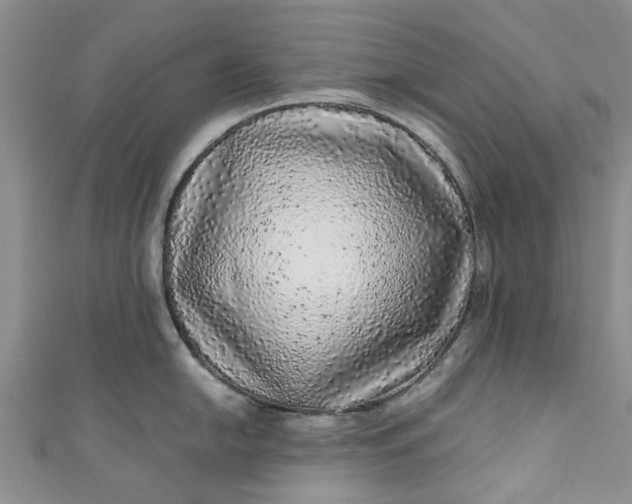 X0000110871054200907021432