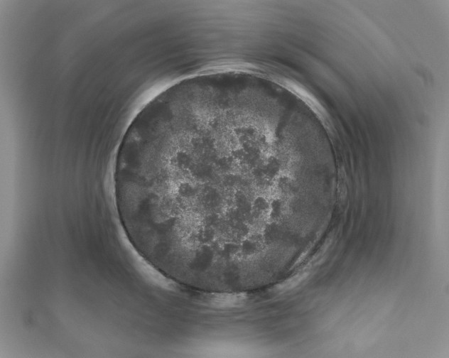 X0000110871055200907021432