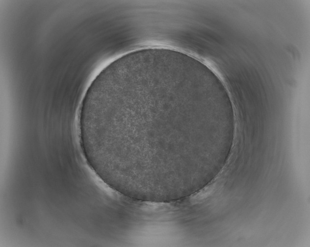 X0000110871056200907021432