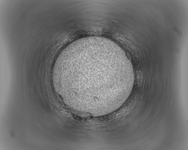 X0000110871057200907021432