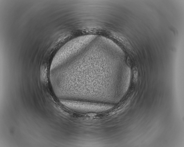 X0000110871060200907021432