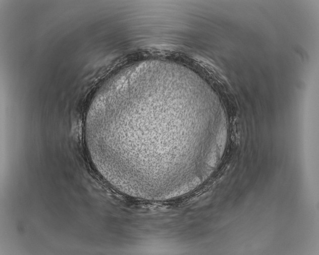 X0000110871061200907021432