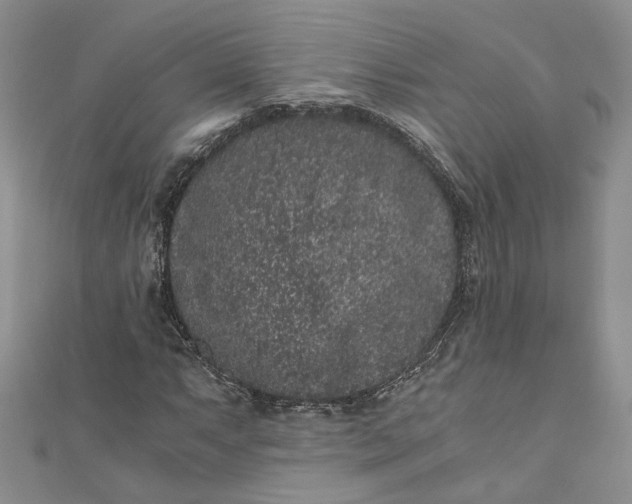 X0000110871063200907021431