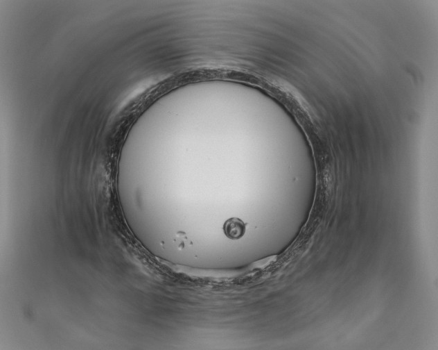 X0000110871064200907021431