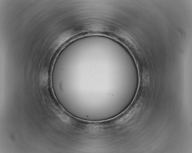 X0000110871065200907021431