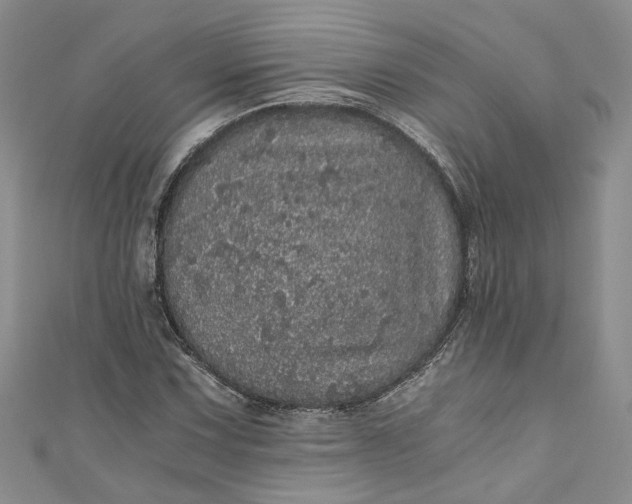 X0000110871067200907021431