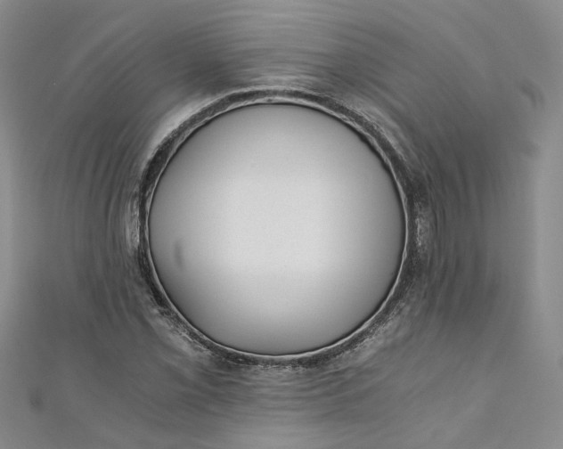 X0000110871069200907021431