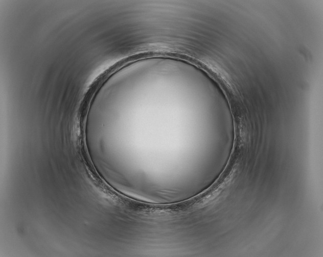 X0000110871070200907021431