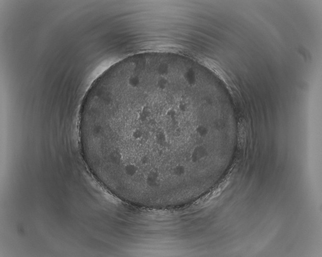 X0000110871071200907021431