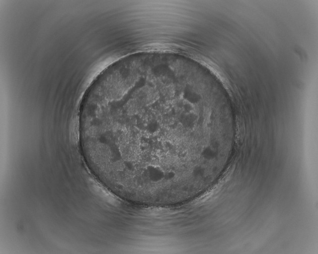 X0000110871075200907021431