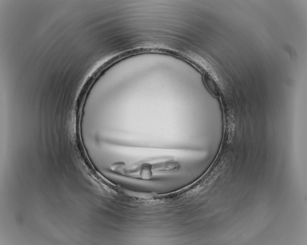 X0000110871076200907021431