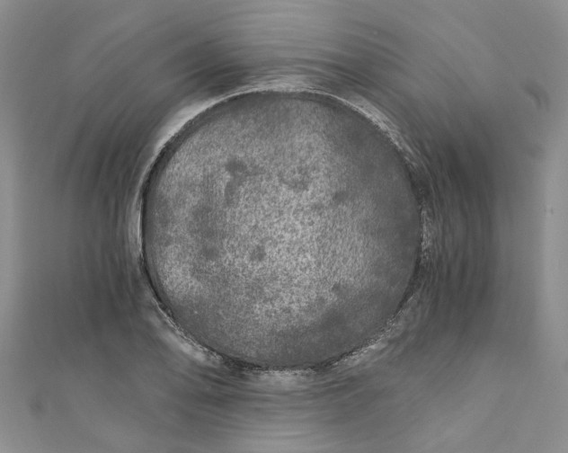 X0000110871078200907021431